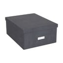 Daiktadėžė su dangčiu Katrin – Bigso Box of Sweden