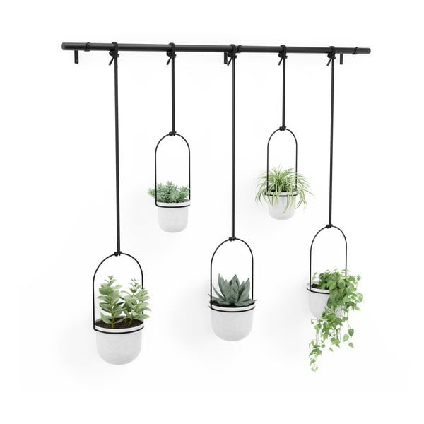 Iš plastiko gėlių vazonų dangteliai 5 vnt. žolelėms/pakabinami ir sieniniai ø 7,5 cm Triflora – Umbra-image-4