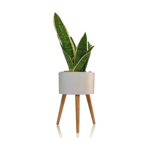 Baltas vazonas Tomasucci Calla, ø 33 cm-image-1