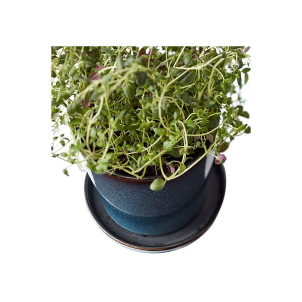 Iš molio gėlių vazono dangtelis ø 10 cm Gastro Dark Blue/Black – Bitz-image-2