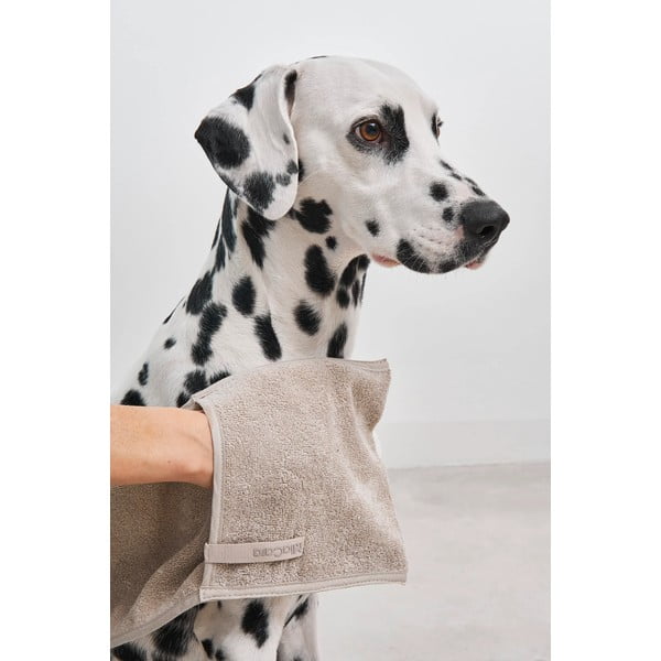 Aksesuaras augintiniams Mano Greige – MiaCara-image-4