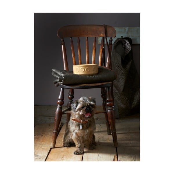 Akmens masės dubenėlis šunims Mason Cash Dog Cane, ø 25 cm-image-2