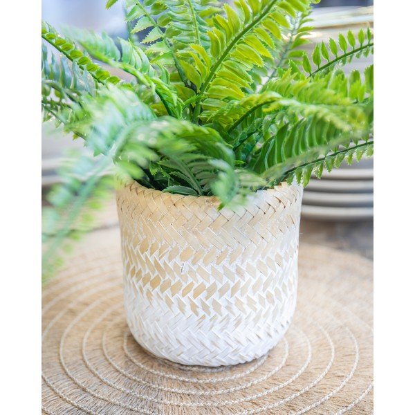 Jūržolės vazonas Kitchen Craft Ombré-image-3