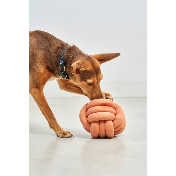 Žaislas šuniui Tubo Dusty Orange – MiaCara-image-3