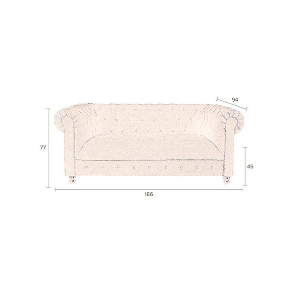 Ruda sofa Dutchbone Forest Honey Brown Velvet-image-4