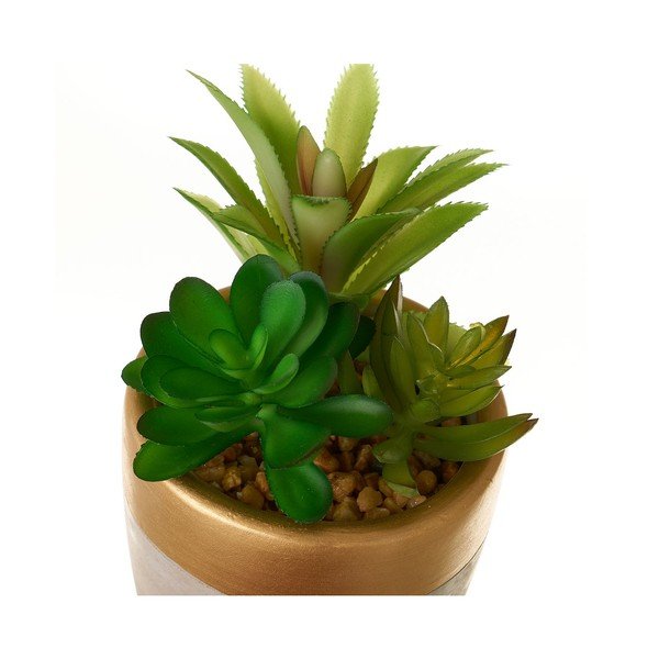 Dirbtiniai augalai 4 vnt. (aukštis 17 cm) Cactus – Casa Selección-image-1