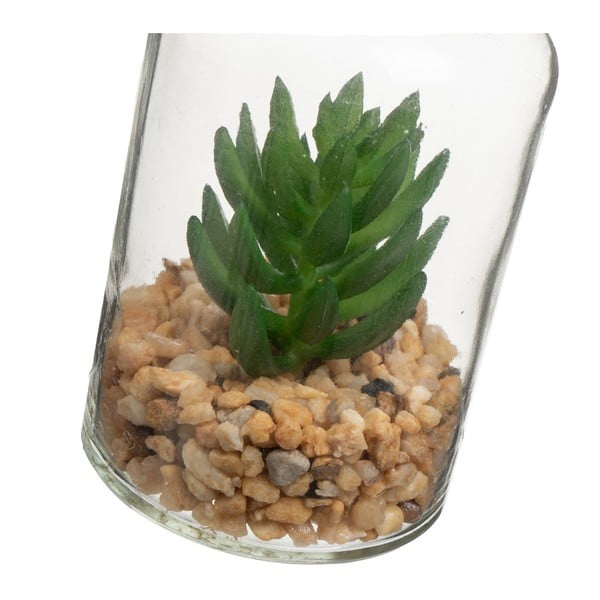 Dirbtiniai augalai 4 vnt. (aukštis 12 cm) Cactus – Casa Selección-image-2