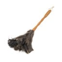 Stručio plunksnų šluostė – Addis