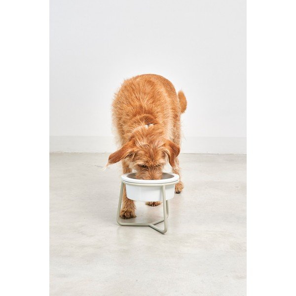 Iš porceliano dubuo su pagrindu šuniui ø 20 cm Pranzo Greige M – MiaCara-image-2