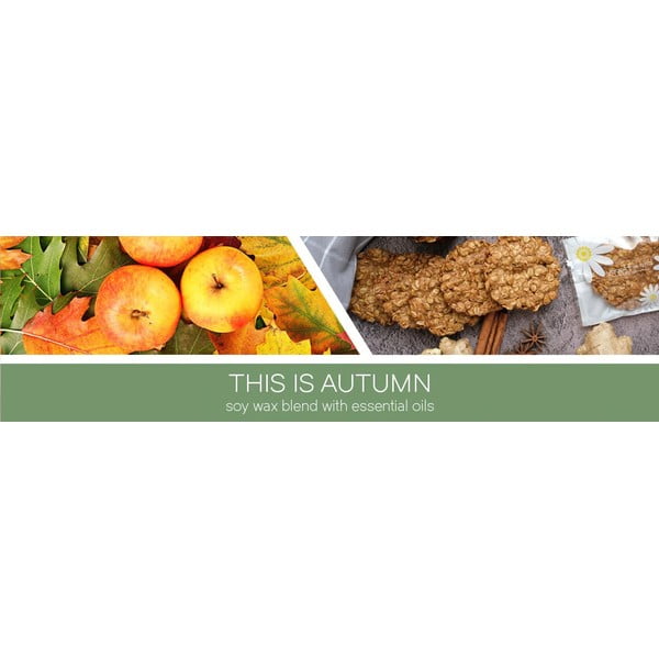 Aromatinė žvakė iš sojų vaško degimo laikas 35 h This Is Autumn – Goose Creek-image-1