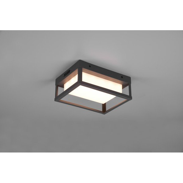 LED lauko sieninis šviestuvas (aukštis 24 cm) Witham - Trio-image-2