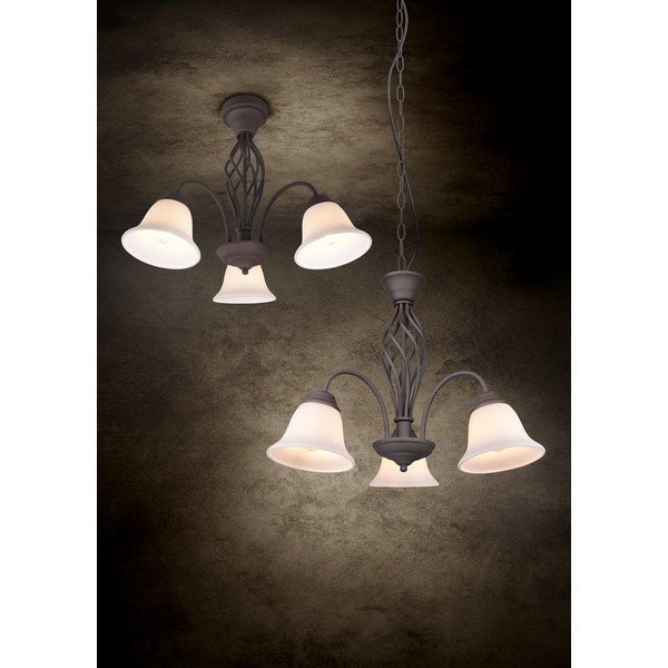 Tamsiai rudos spalvos lubinis šviestuvas su stiklo gaubtu Rustica – Trio-image-3