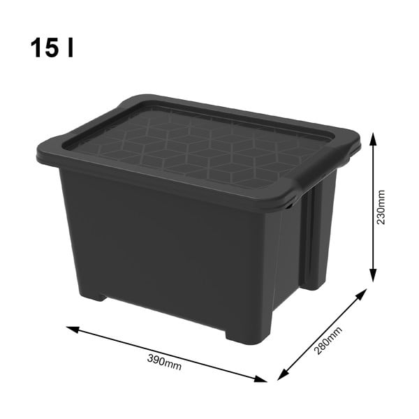 Blizgios juodos spalvos plastikinė laikymo dėžė su dangčiu Evo Easy - Rotho-image-1