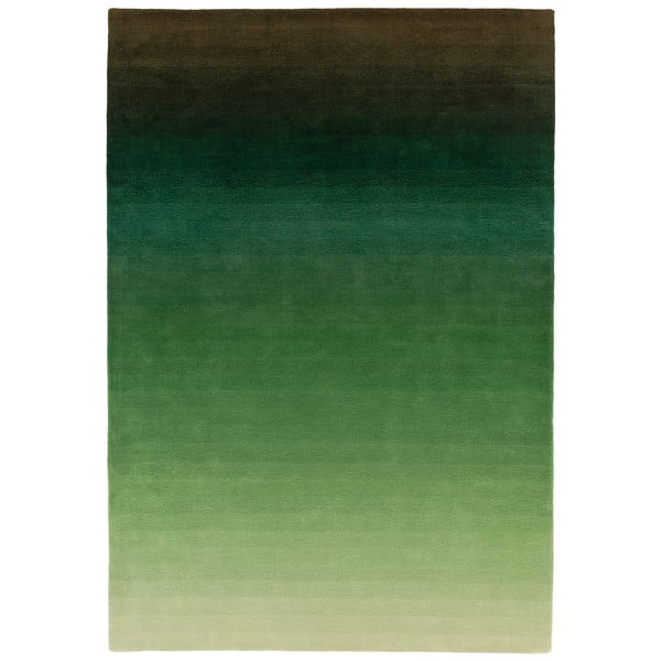 Žalios ir pilkos spalvos kilimas Asiatic Carpets Ombre, 200 x 290 cm