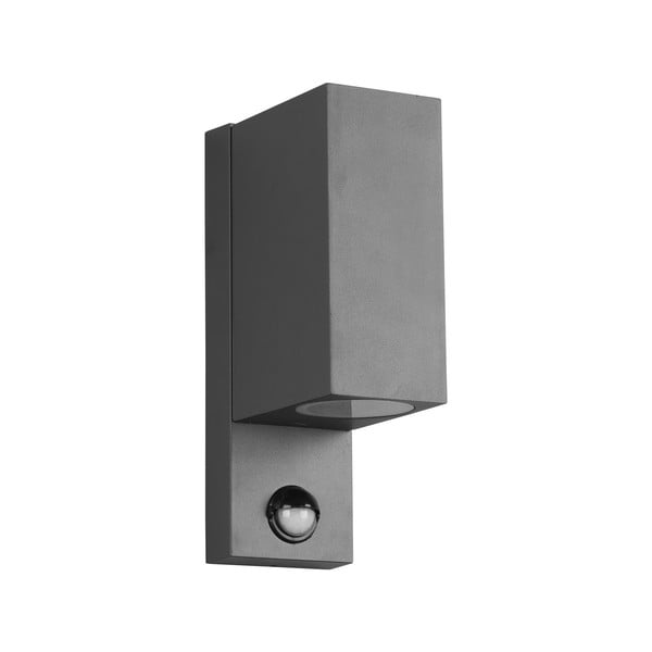 Sieninis lauko šviestuvas (aukštis 22 cm) Roya - Trio