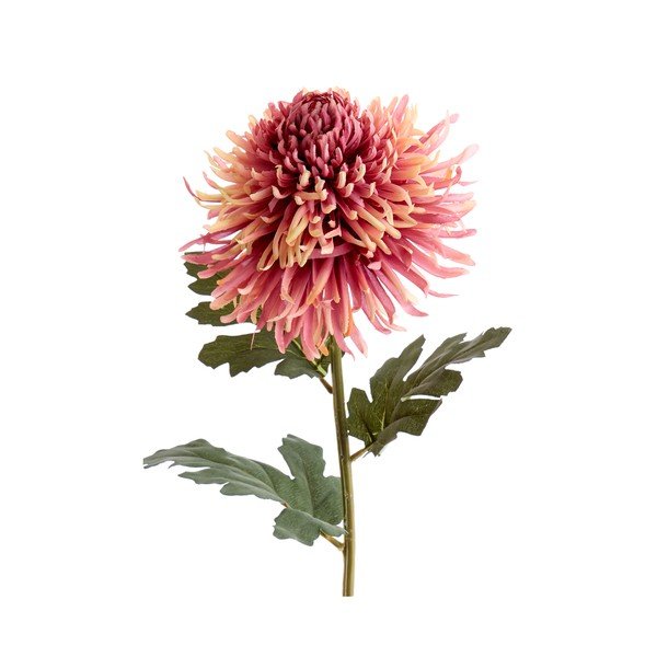 Dirbtinė gėlė (aukštis 91 cm) Chrysantheme – Light & Living-image-2