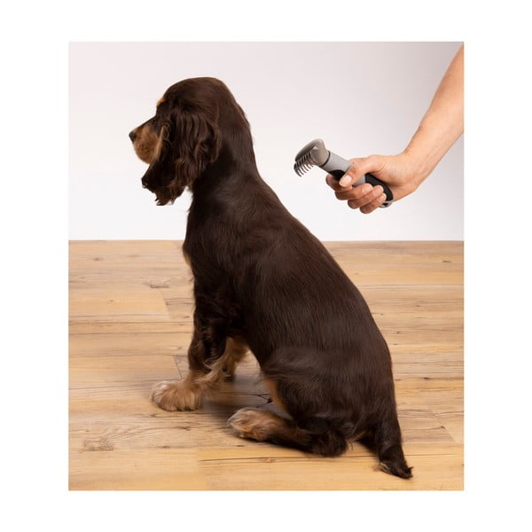 Šukos kailio priežiūrai – Love Story-image-3