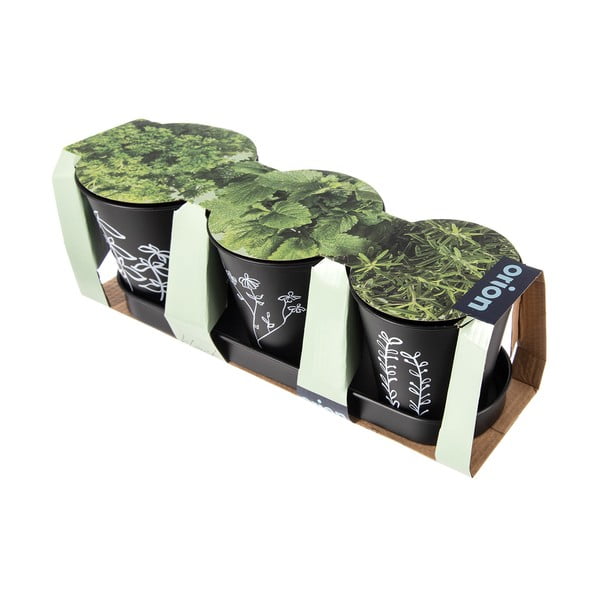 Iš metalo vazonai 3 vnt. žolelėms ø 11 cm Black – Orion-image-3