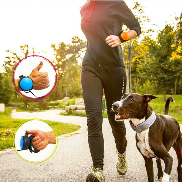 Pavadėlis juodos spalvos M 3 – Lishinu-image-2