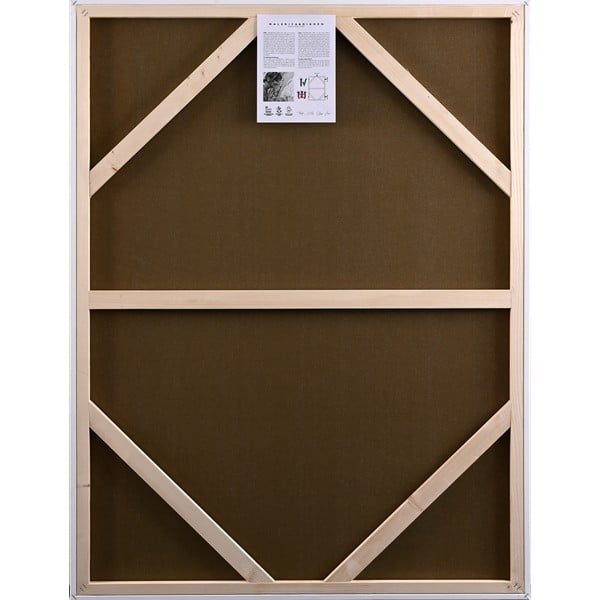 Paveikslas 60x80 cm Astonish – Malerifabrikken-image-2