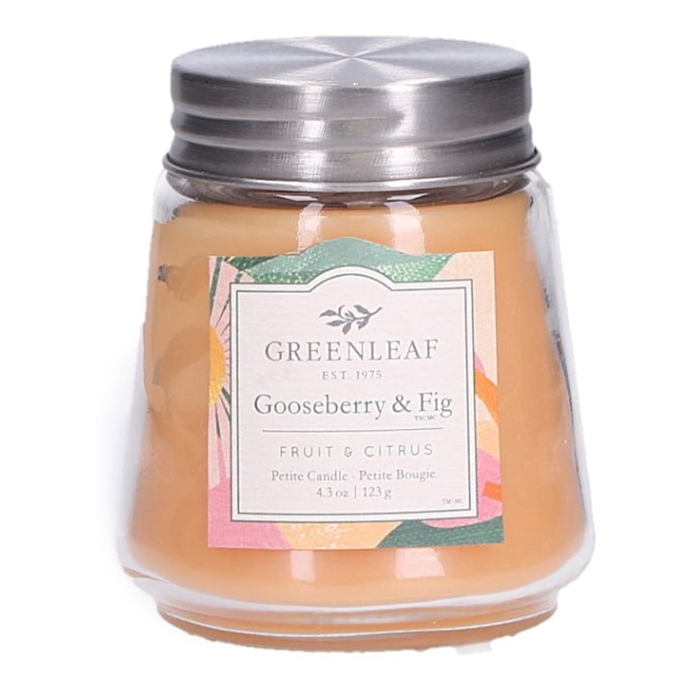 Kvapioji žvakė Greenleaf Gooseberry And Fig, 30 valandų degimas