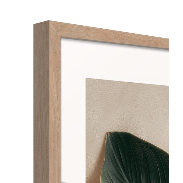 Spausdintas paveikslas su rėmeliu 50x70 cm Strelizia Leaf – Styler-image-4