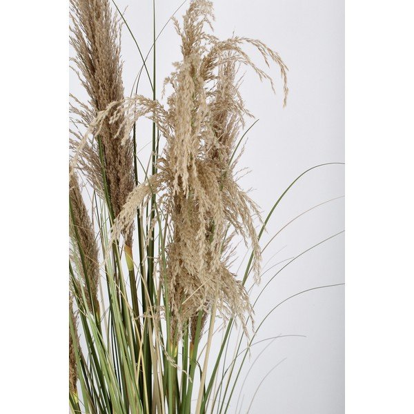 Dirbtinis augalas (aukštis 145 cm) Austorderia – Bizzotto-image-3