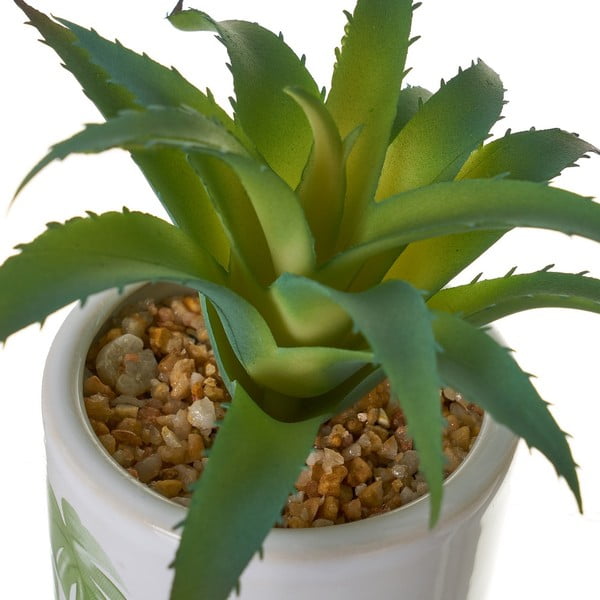 Dirbtinės gėlės 4 vnt. Cactus – Casa Selección-image-4