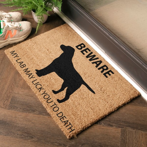 Iš kokoso pluošto grindų kilimėlis 40x60 cm Labrador – Artsy Doormats-image-1