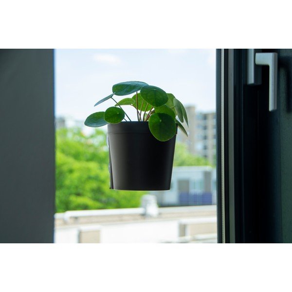 Iš plastiko pakabinami ir sieniniai vazonai 2 vnt. ø 13 cm – Esschert Design-image-4