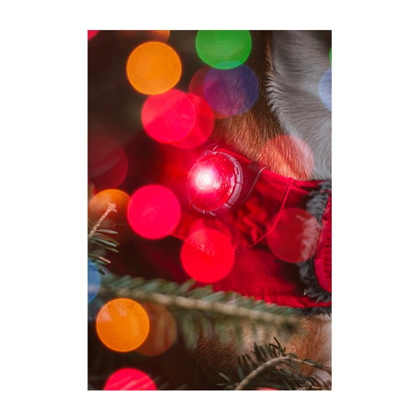 LED apykaklės apšvietimas Red - Orbiloc-image-4