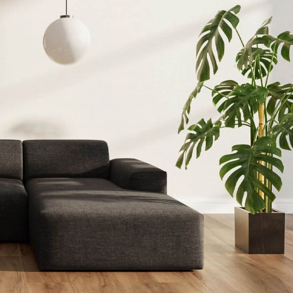 Antracito spalvos kampinė sofa (su dešiniuoju kampu/su gultu) Villet – Rodier-image-3