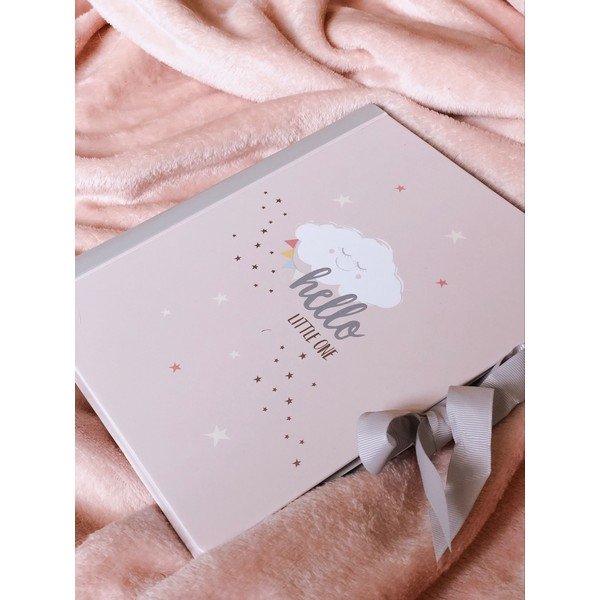 Rožinis kūdikio dienoraštis Busy B-image-1