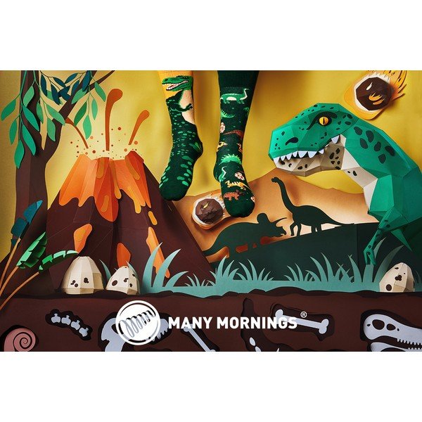 Kojinės Many Mornings The Dinosaurus, 35-38 dydis-image-1