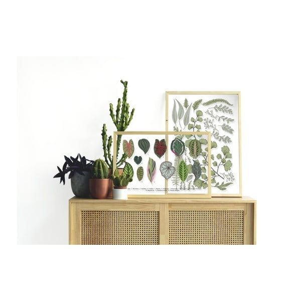 Paveikslas su pušies medžio rėmu Surdic Leafes Collection, 50 x 70 cm-image-1