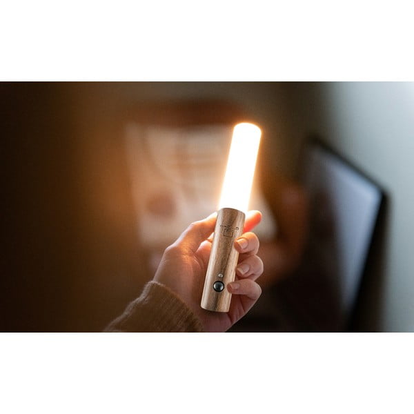 Sieninė lempa rudos spalvos LED USB Baton – Gingko-image-4