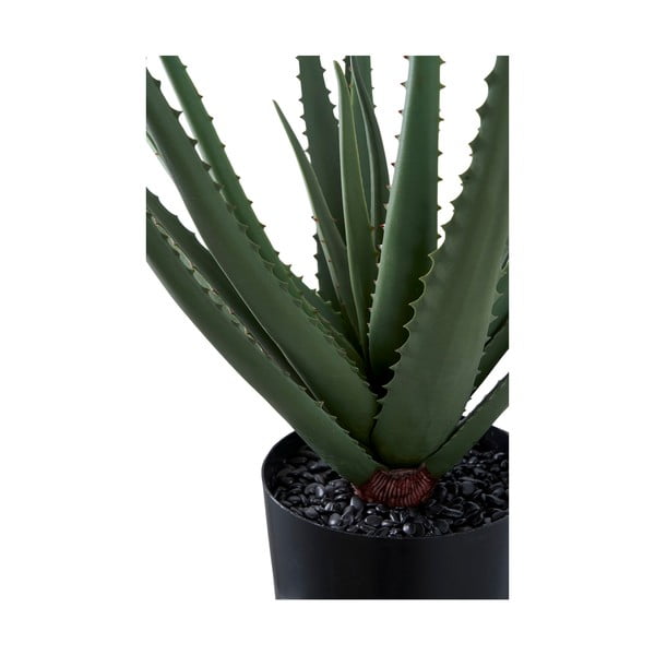 Dirbtinis augalas (aukštis 51 cm) Aloe Vera – House Nordic-image-4