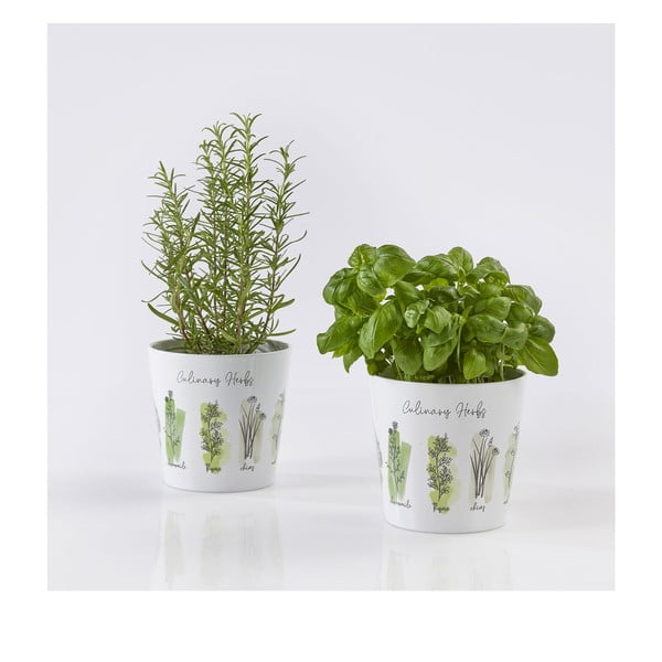 2 keraminių vazonų rinkinys žolelėms ø 14 cm Dalllas Culinary - Big pots-image-1