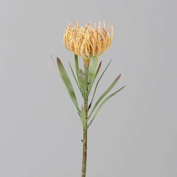 Dirbtinė gėlė (aukštis 43 cm) Protea – Ego Dekor