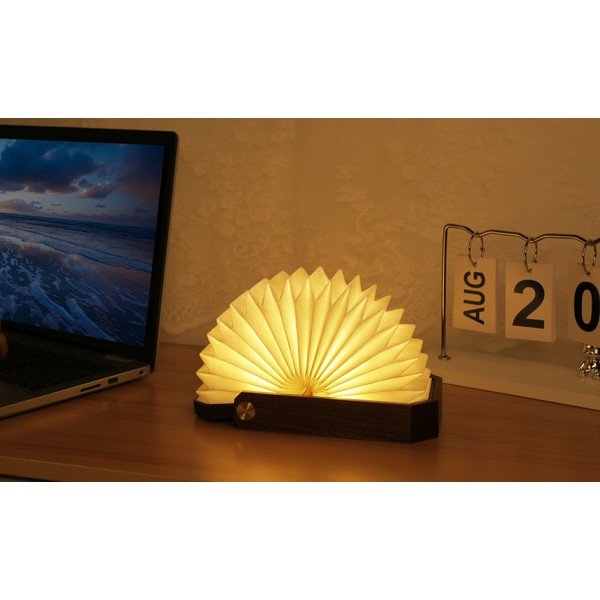 Baltos spalvos/tamsios natūralios spalvos šviečianti dekoracija USB Origami – Gingko-image-4