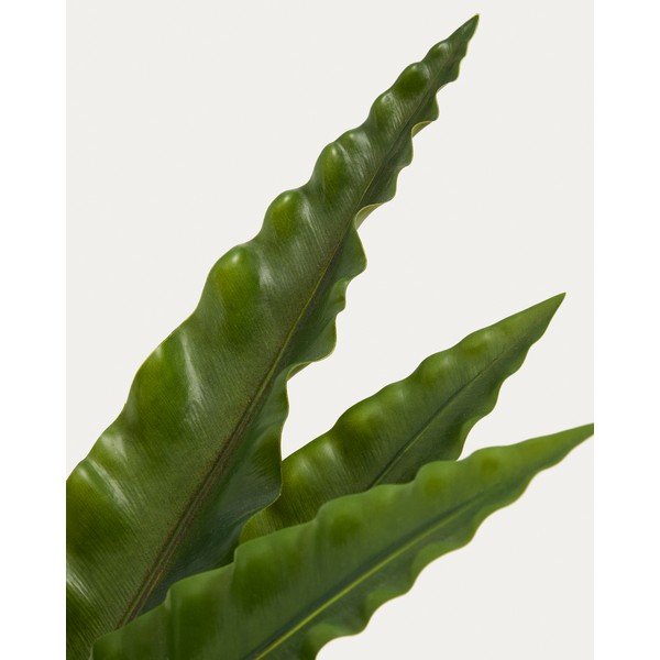 Dirbtinis sukulentas (aukštis 70 cm) Neottopteris – Kave Home-image-2