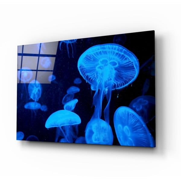 Paveikslas ant stiklo Insigne Jellyfish
