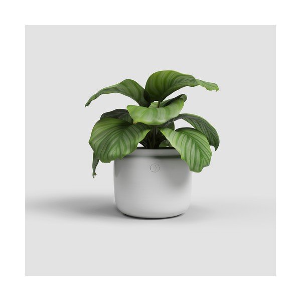 Rankų darbo vazonas iš keramikos ø 26 cm Astrea – Artevasi-image-1