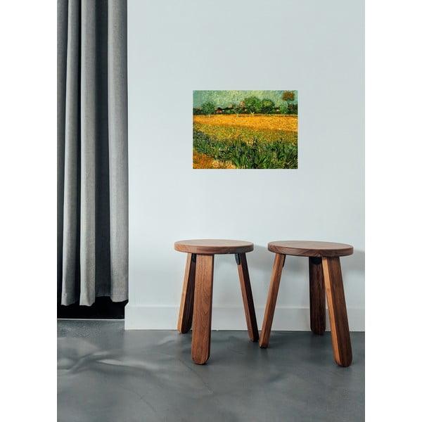 Vincent van Gogh reprodukcija View of arles with irises in the foreground, 40 x 30 cm-image-1