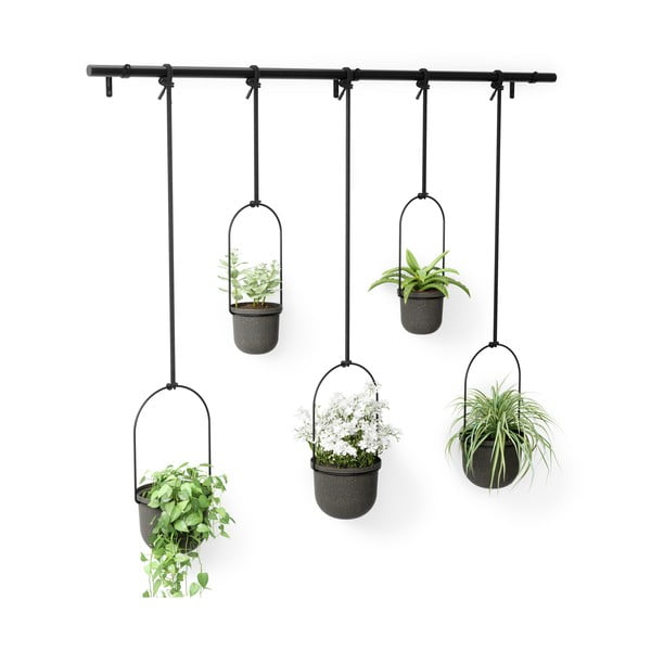 Iš plastiko gėlių vazonų dangteliai 5 vnt. žolelėms/pakabinami ir sieniniai ø 7,5 cm Triflora – Umbra-image-4