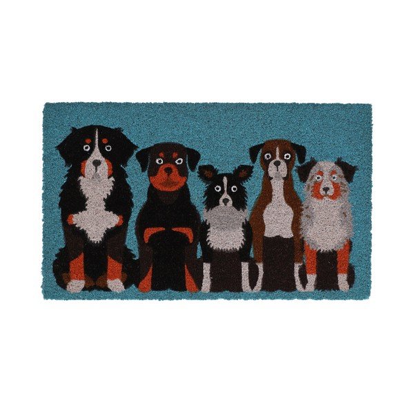 Iš kokoso pluošto grindų kilimėlis 45x75 cm – Esschert Design