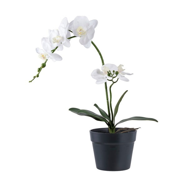 Dirbtinė gėlė (aukštis 47 cm) Orchid – House Nordic