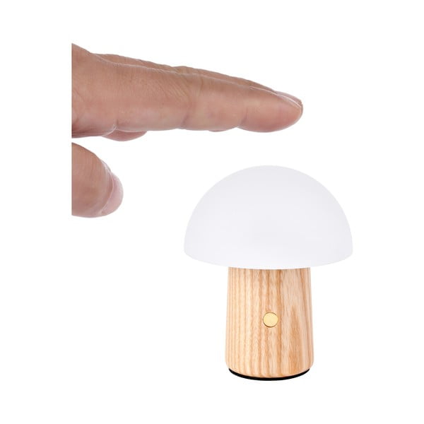 Iš uosio masyvo stalinis šviestuvas natūralios spalvos LED su pritemdymo funkcija (aukštis 7 cm) Alice – Gingko