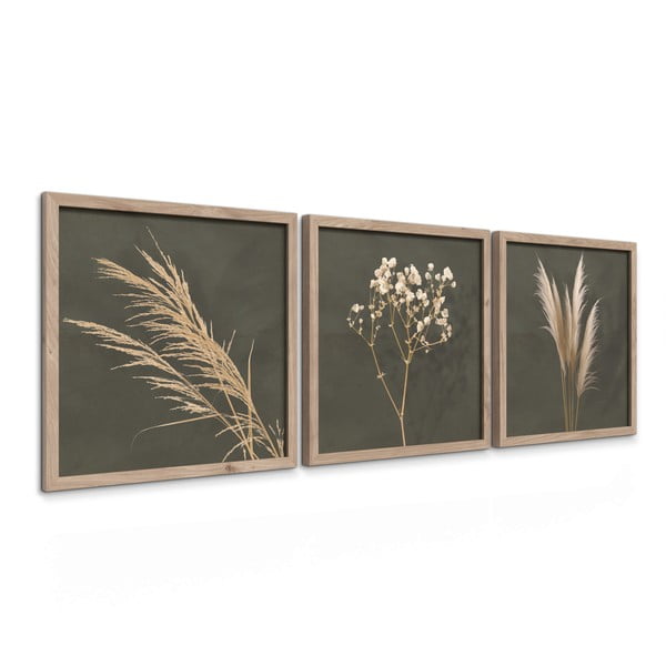 Paveikslai 3 vnt. 30x30 cm Pampas – Styler-image-4
