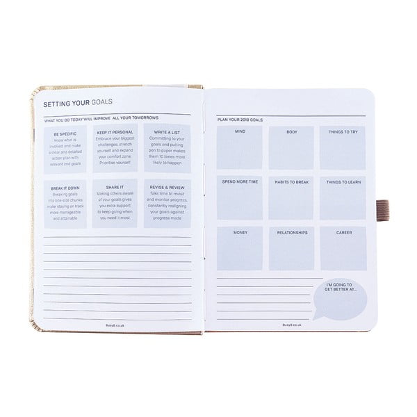 2019 m. dienoraštis su "Busy B Goals" lipdukais-image-1